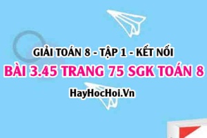 Giải bài 3.45 trang 75 Toán 8 Tập 1 SGK Kết nối tri thức